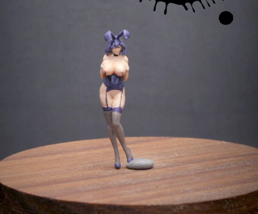 1/43  1/64  figure sexy girl Bunny Girl fit 1:64 street car stand